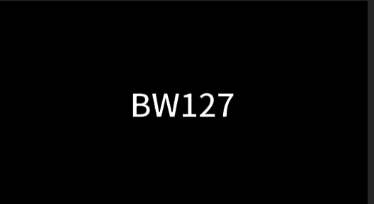 BW127
