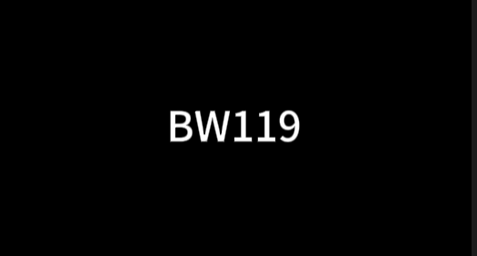 BW119