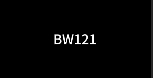BW121
