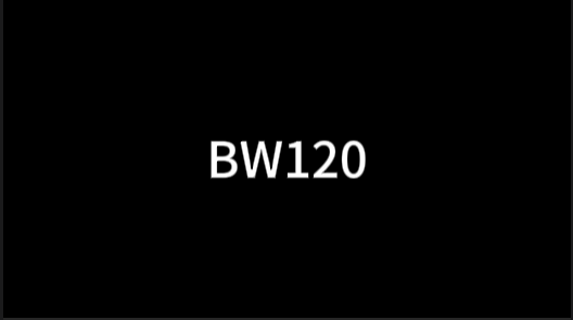 BW120